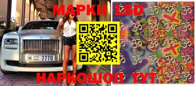 тгк Бийск