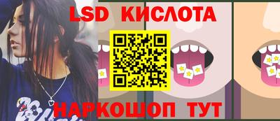 тгк Бийск