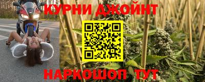 тгк Бийск