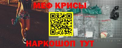 тгк Бийск
