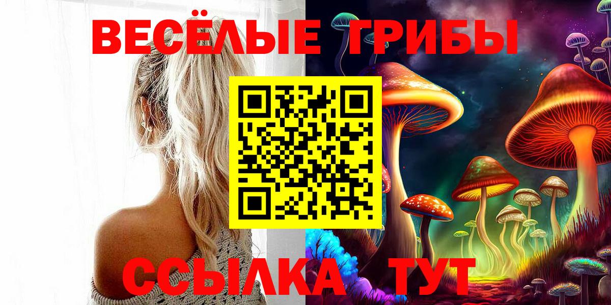 Галлюциногенные грибы Psilocybe  Вход с VPN  Горно-Алтайск  Псилоцибиновые грибы Psilocybine cubensis 