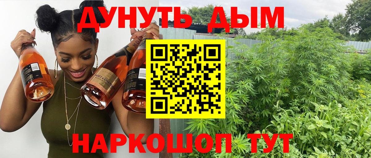 Конопля план Горно-Алтайск